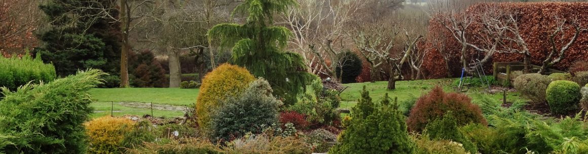 cropped-gardenservicescuckfield.jpg