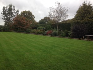 Garden maintence Cuckfield