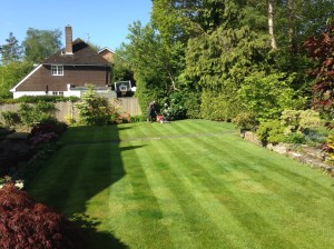 Grass cutting Haywards Heath